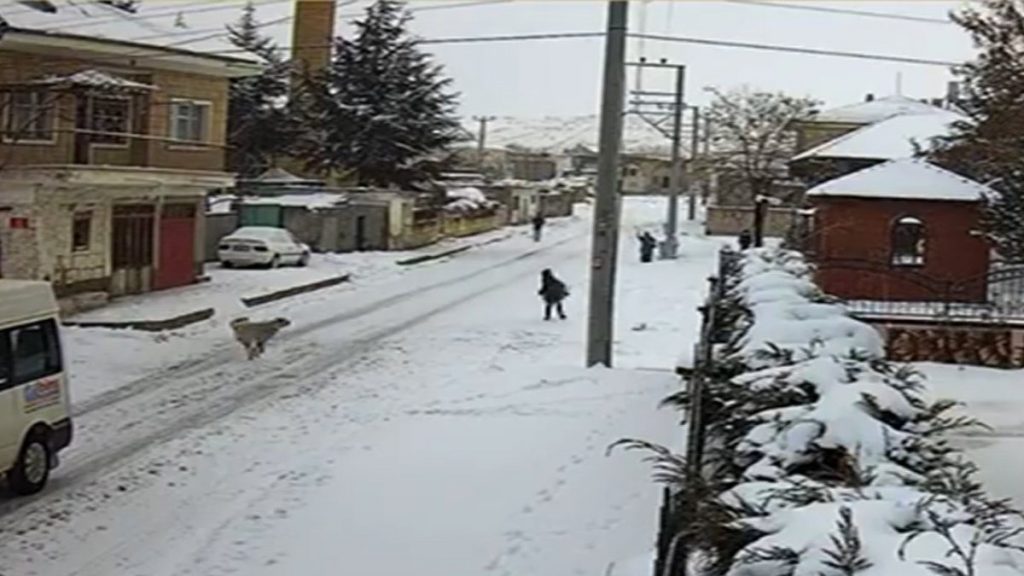 Nevşehir’de Yusuf’a saldıran köpekler, Hayvan Kasabası tarafından sokağa bırakıldı