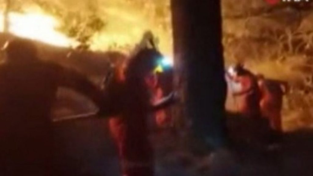 Meksika’da uyuşturucu bağımlısı ormanlık alanı ateşe verdi