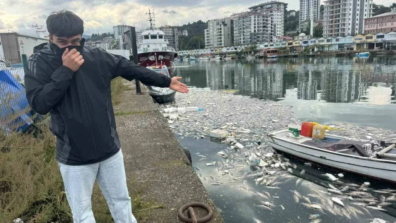 Pazar’da palamut fazlası sahili balık mezarlığına çevirdi