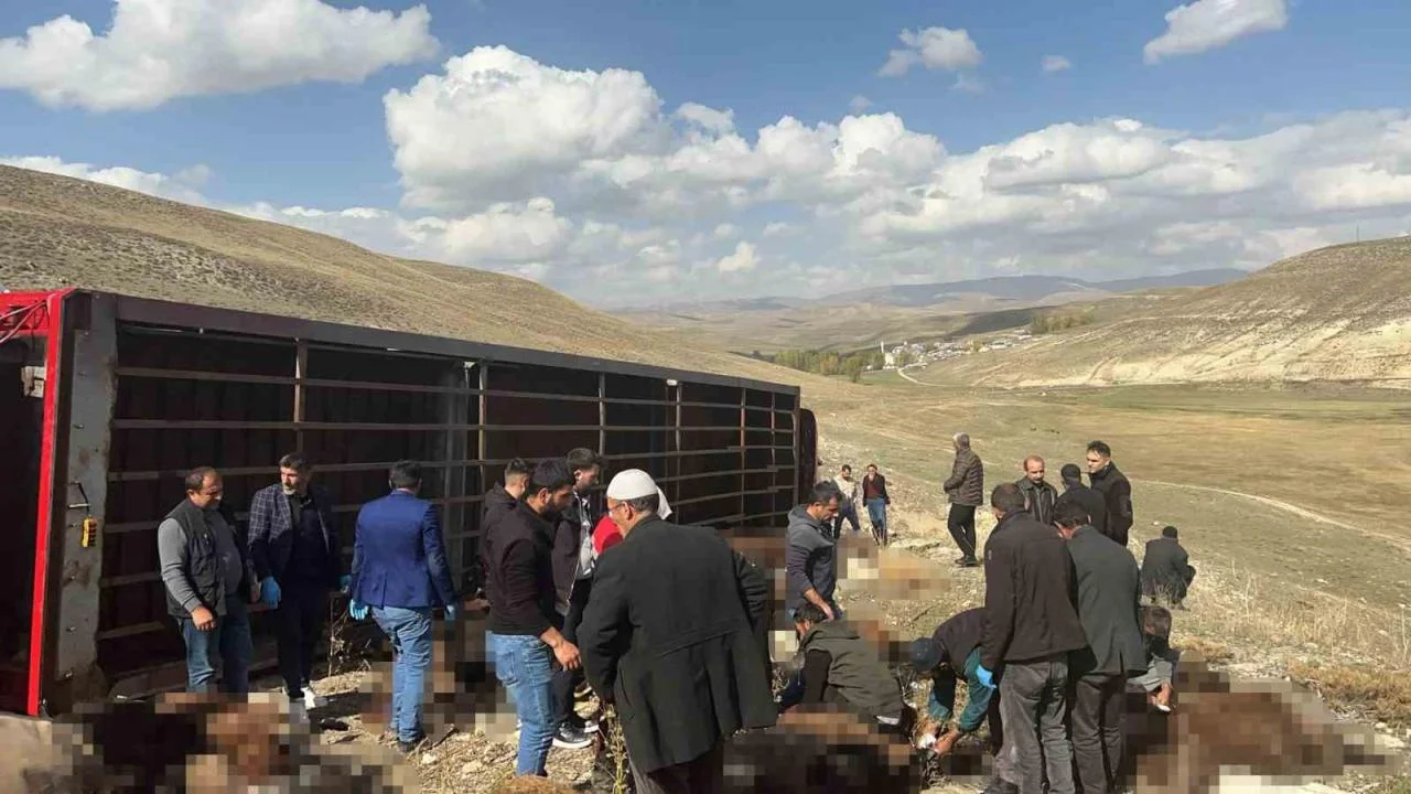 Tekman’da küçükbaş hayvan taşıyan tır devrildi