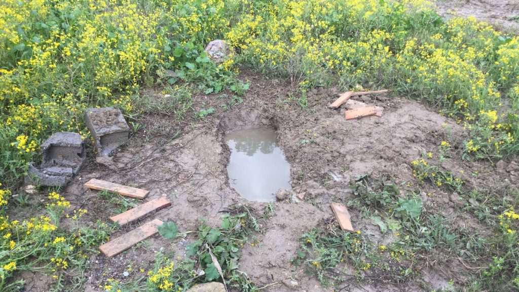 Adana’da, mezarlıkta cenin bulundu