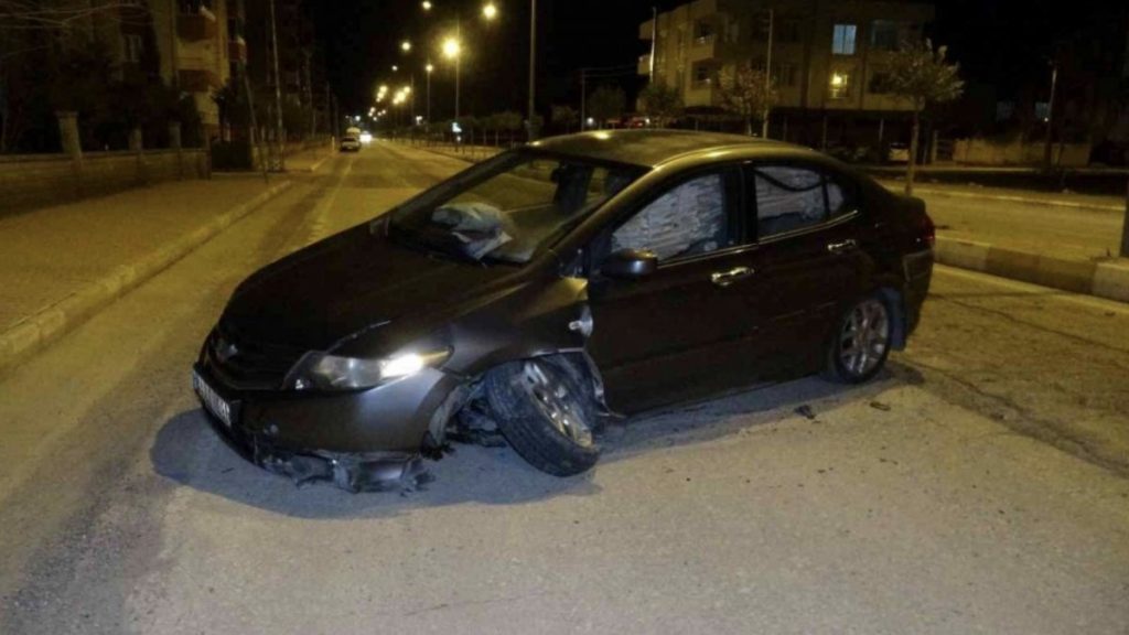 Adıyaman’da yola çıkan köpek kazaya neden oldu