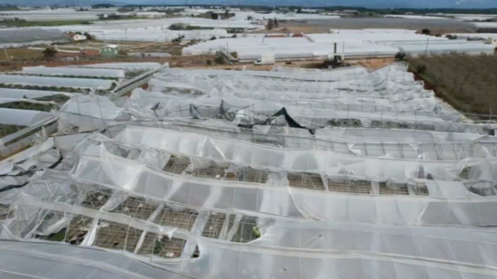 Antalya’da hortum, seraları yerle bir etti