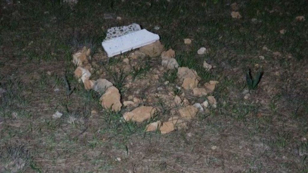 Antalya’da ormandaki mezardan köpek ölüsü çıktı