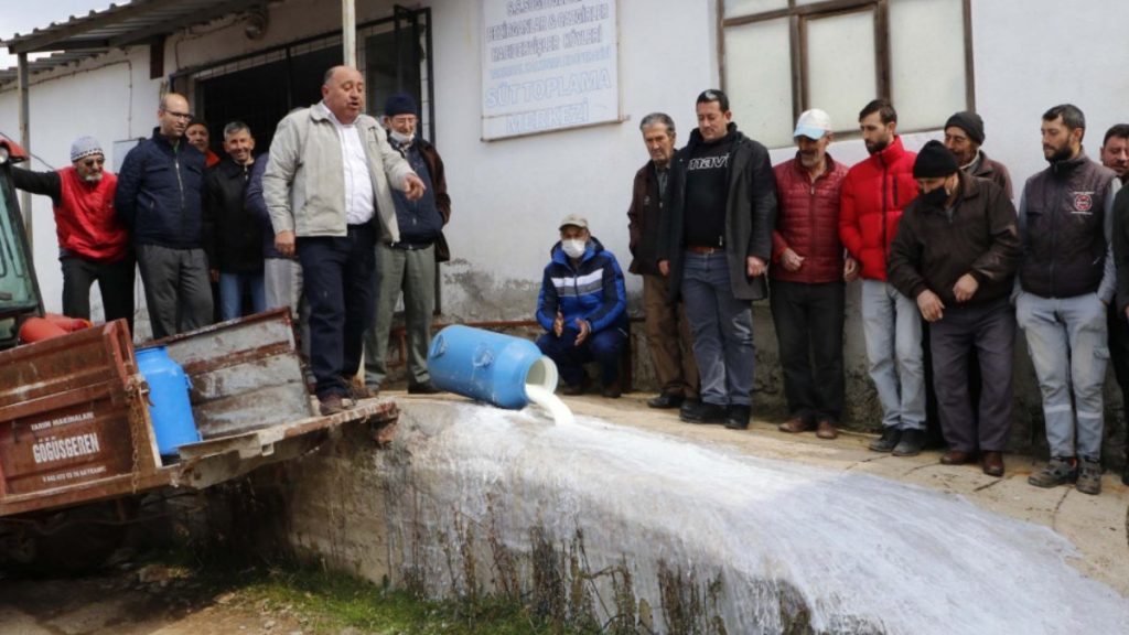 Çanakkale’de üretici, mandıracılara kızıp süt döktü