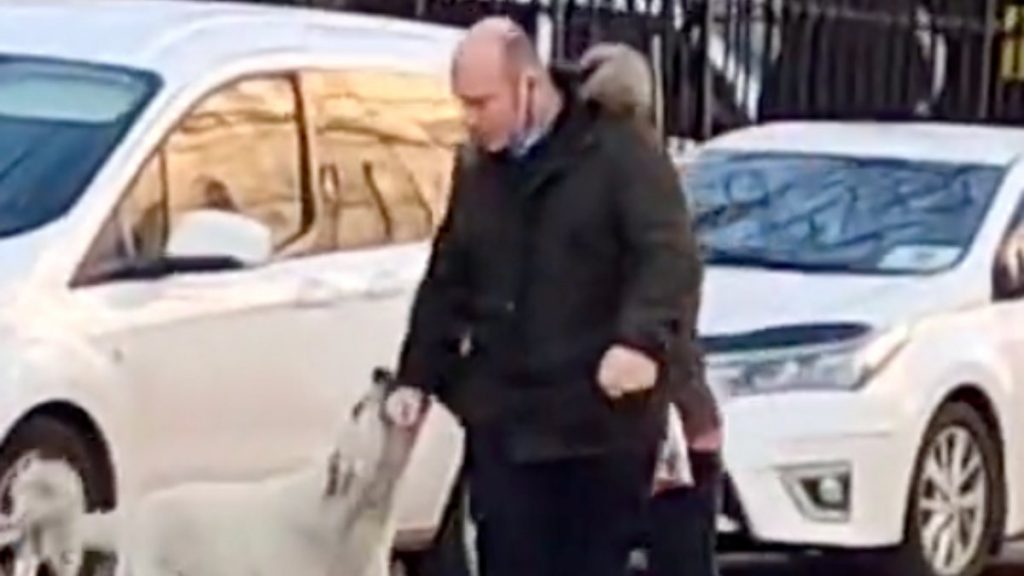 İstanbul’da yoldan geçen herkesi ısıran köpek