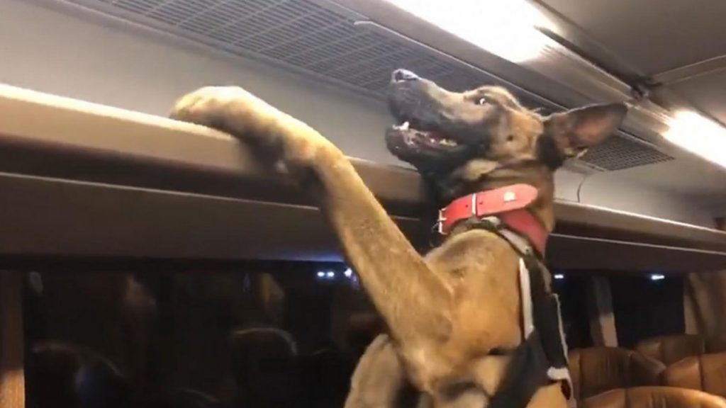 Kocaeli’de 126 kilo eroini otobüsün tavanına gizlediler