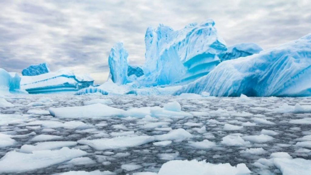 Kutuplar için “dramatik” uyarı
