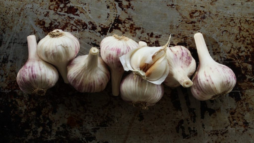 Mucize besin sarımsağın 7 özel faydası