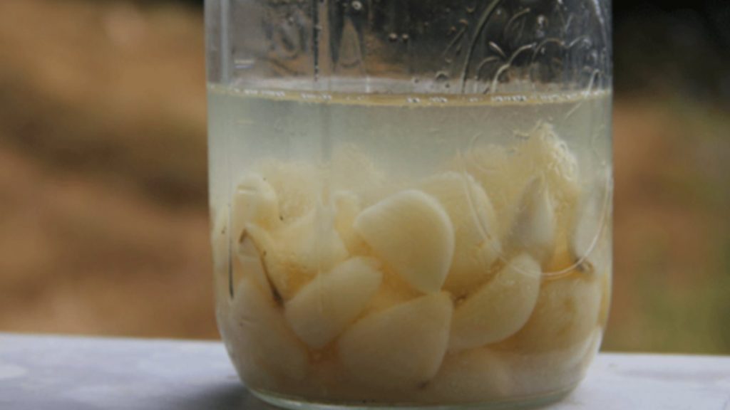 Mucize damar açıcı! 20 diş sarımsağı 1 litre limon suyuna atıp bekleyin…