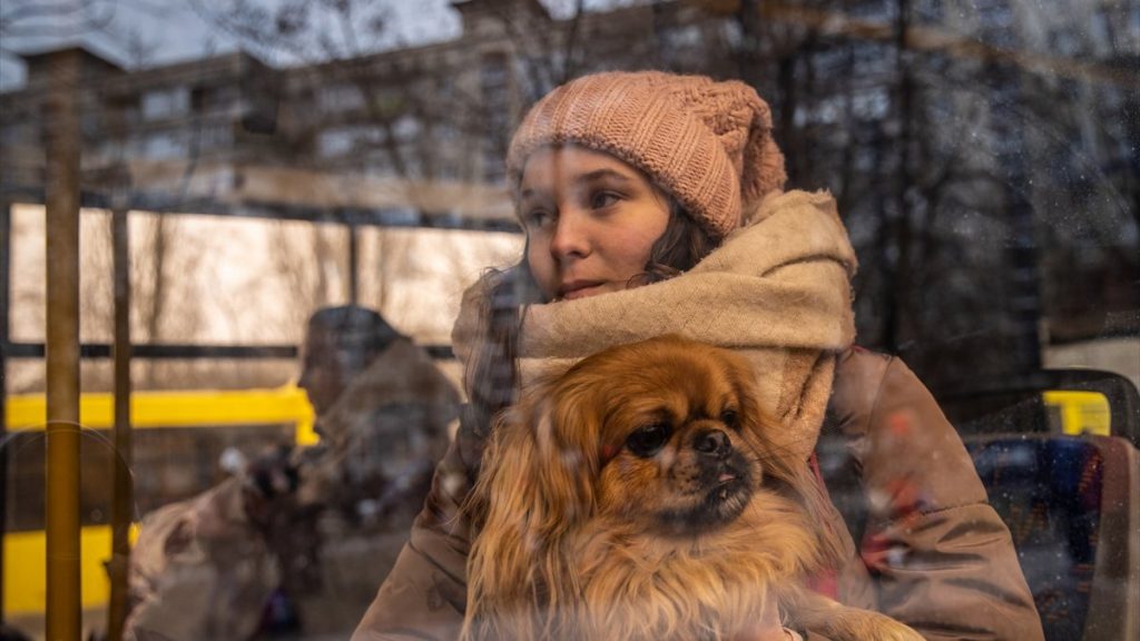 Savaşın gölgesinde kadınlar günü