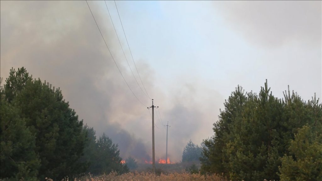 Ukrayna’da Zaporijya Nükleer Santrali’nde yangın çıktı