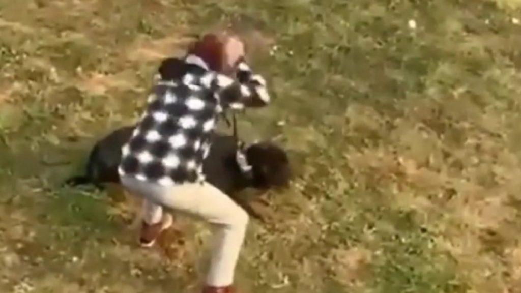 Düzce’de gezdirdiği köpeğine işkence yaptı