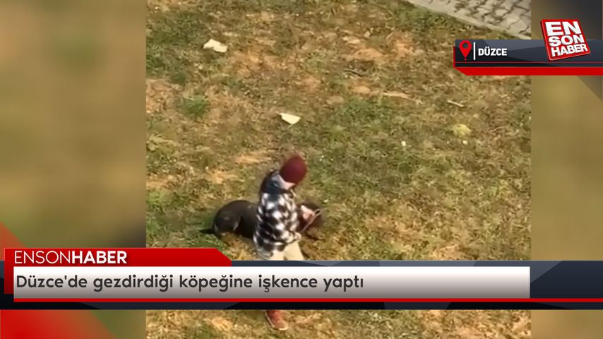 Düzce’de gezdirdiği köpeğine işkence yaptı