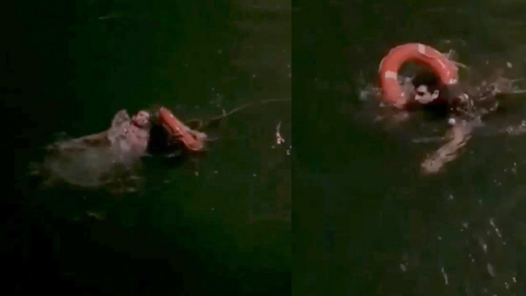 İstanbul’da denize atlayan adamı, bekçi kurtardı