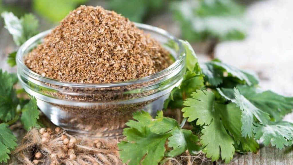 Kandaki zehri söküp atıyor! Kişniş kürünün yapılışı ve faydaları…