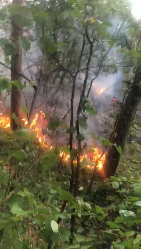 Uludağ’ın eteklerinde korkutan yangın